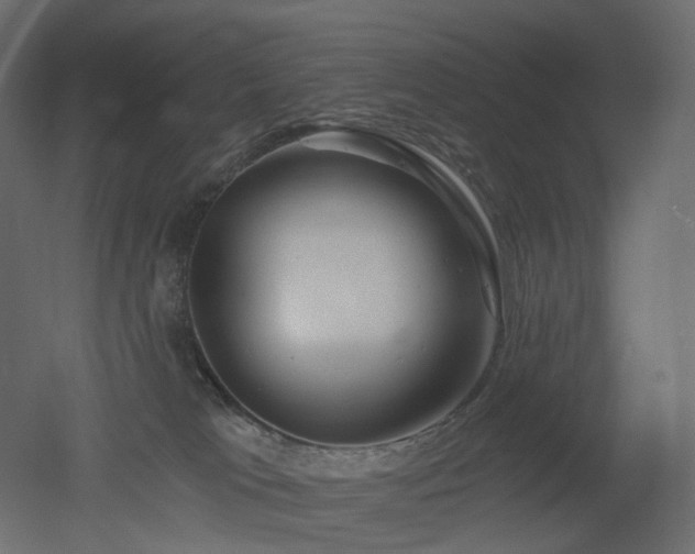 X0000051860037200506241333