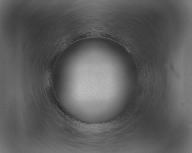 X0000051860038200506241332