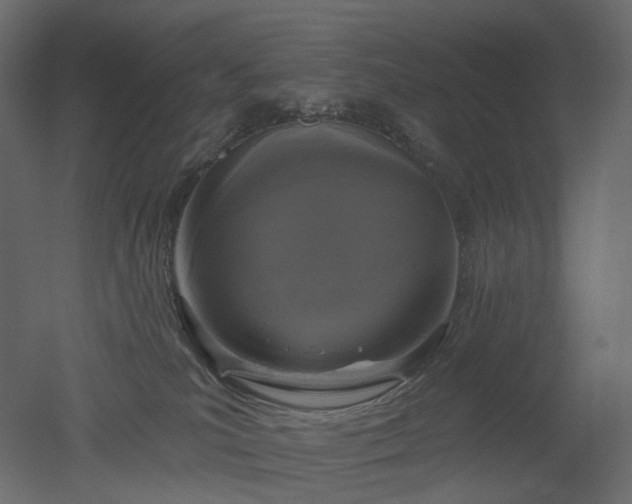 X0000051860039200506241332