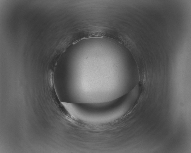 X0000051860041200506241332