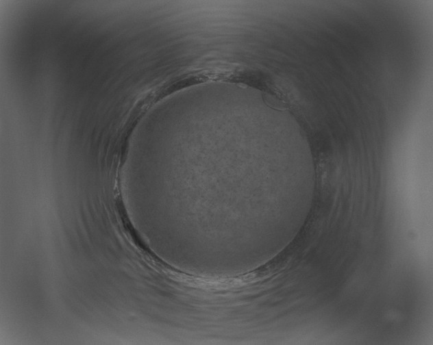 X0000051860042200506241332