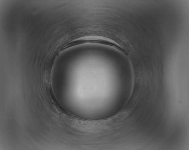 X0000051860044200506241332