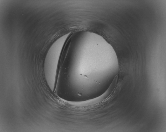 X0000051860045200506241332