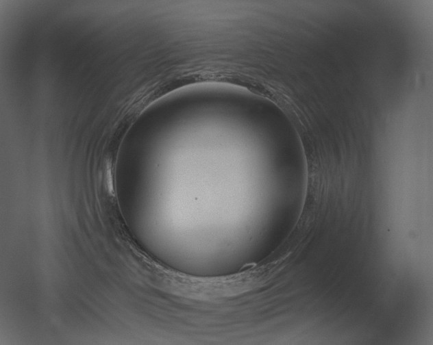 X0000051860046200506241332