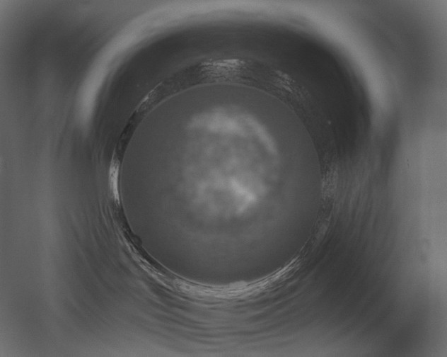 X0000051860047200506241332