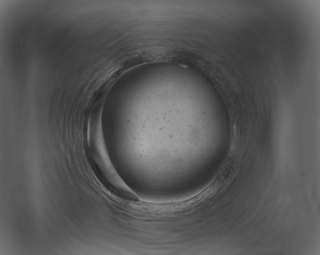 X0000051860048200506241332