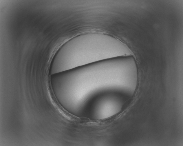 X0000051860049200506241332