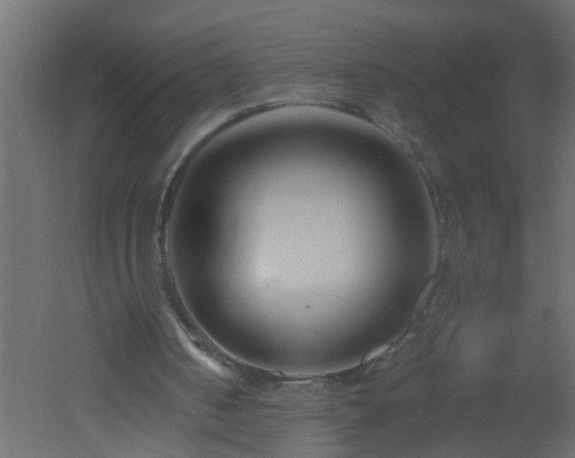 X0000051860050200506241332