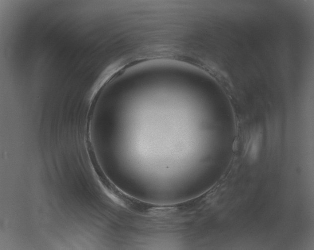 X0000051860051200506241332