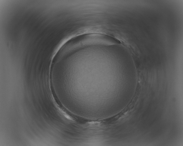 X0000051860052200506241332