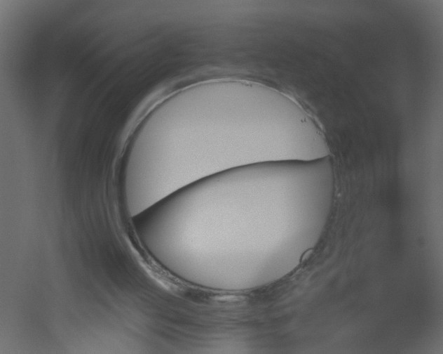 X0000051860053200506241332