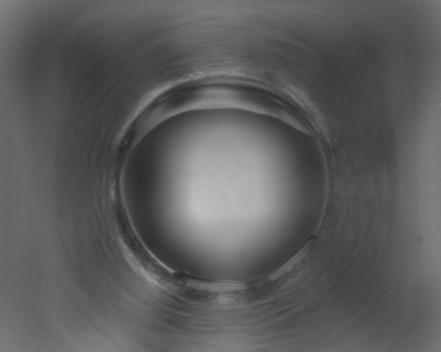 X0000051860060200506241332