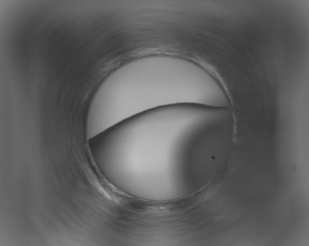 X0000051860061200506241332