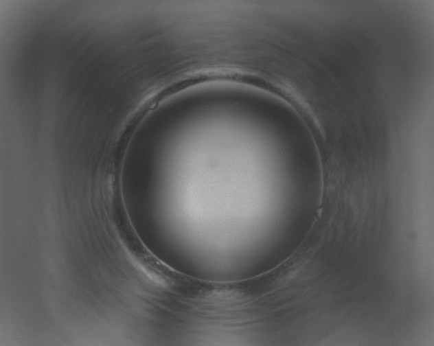 X0000051860063200506241332