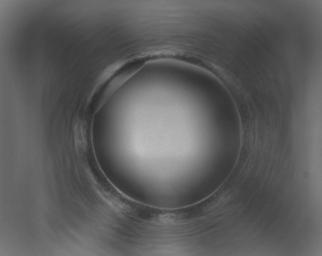 X0000051860064200506241332