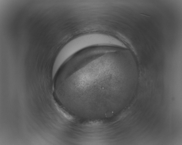 X0000051860065200506241332