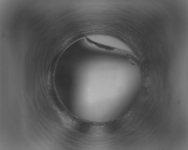 X0000051860066200506241332