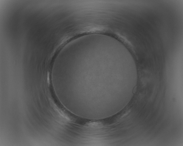 X0000051860067200506241332