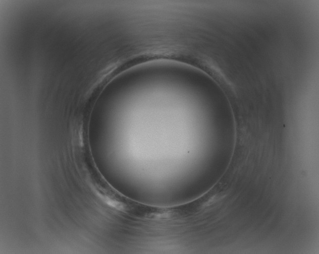 X0000051860068200506241332