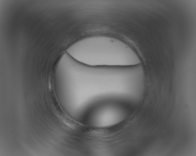 X0000051860069200506241332