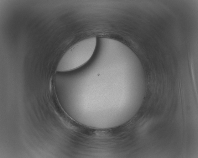 X0000051860070200506241332