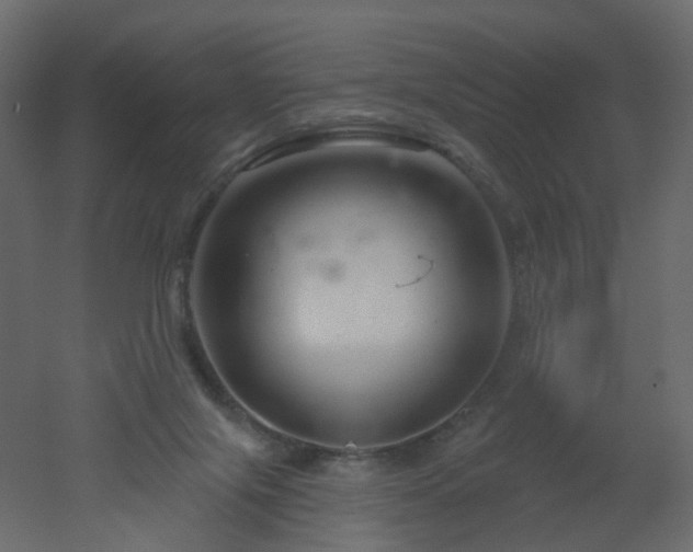 X0000051860071200506241332