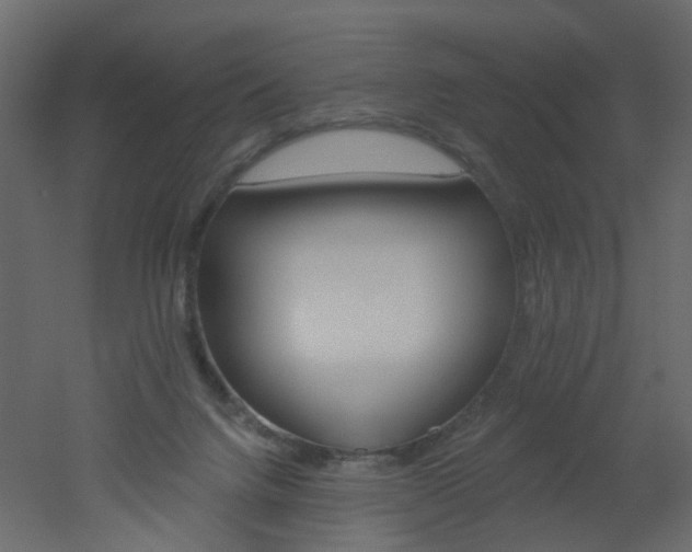 X0000051860072200506241332