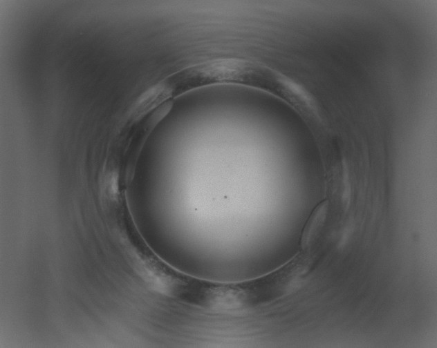 X0000051860073200506241332