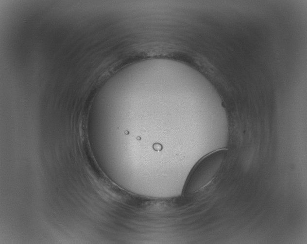 X0000051860074200506241332