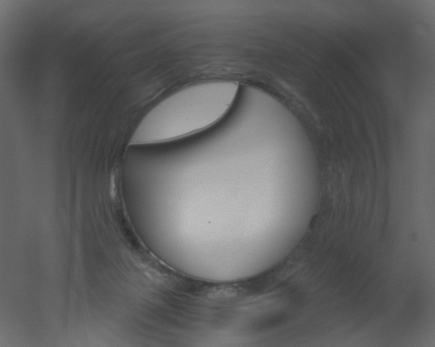 X0000051860075200506241332