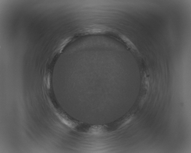 X0000051860076200506241332