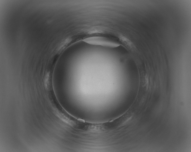 X0000051860077200506241332