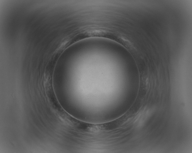 X0000051860079200506241332