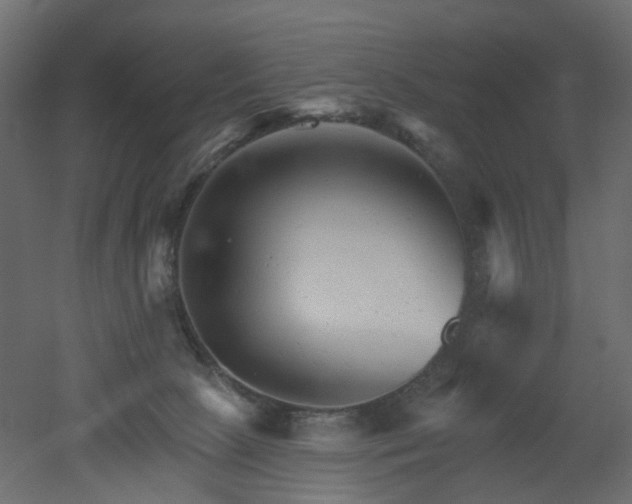 X0000051860081200506241332