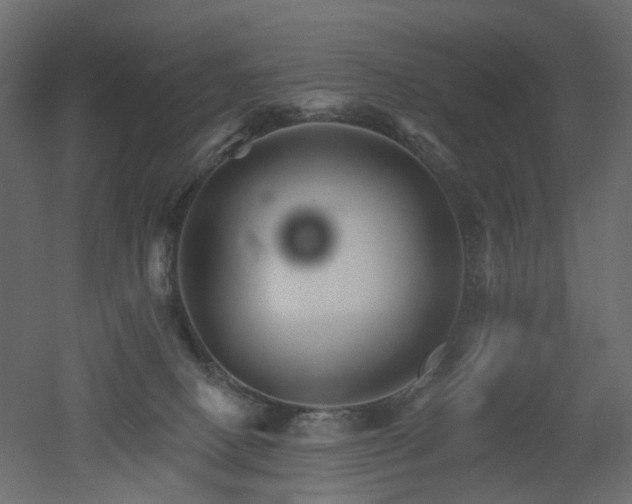 X0000051860082200506241332