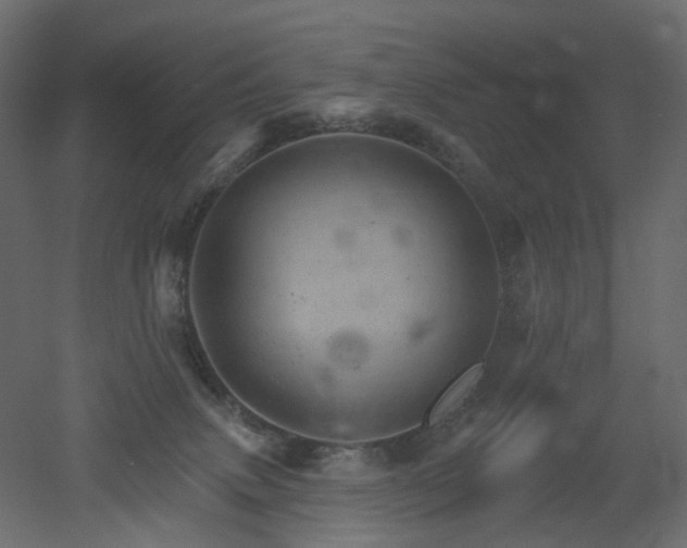 X0000051860083200506241332