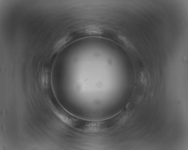 X0000051860084200506241332