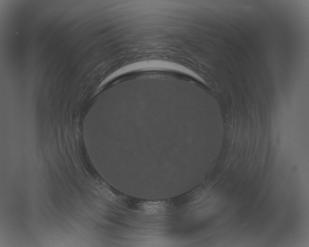 X0000051860085200506241332