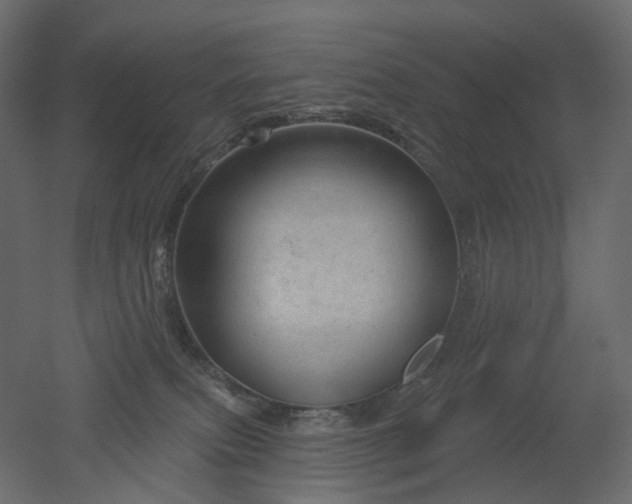 X0000051860087200506241332