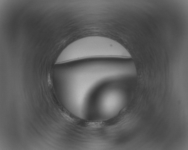 X0000051860089200506241332