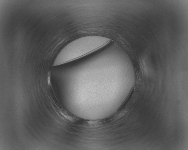 X0000051860095200506241332