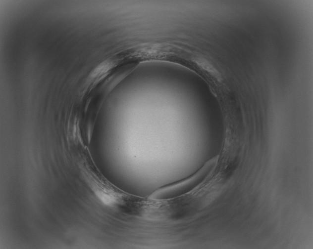 X0000051860096200506241332