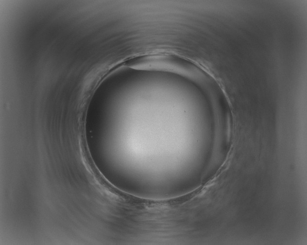 X0000051860097200506241331