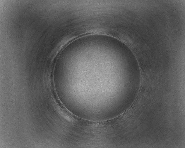 X0000051860098200506241331