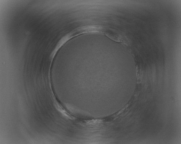 X0000051860099200506241331