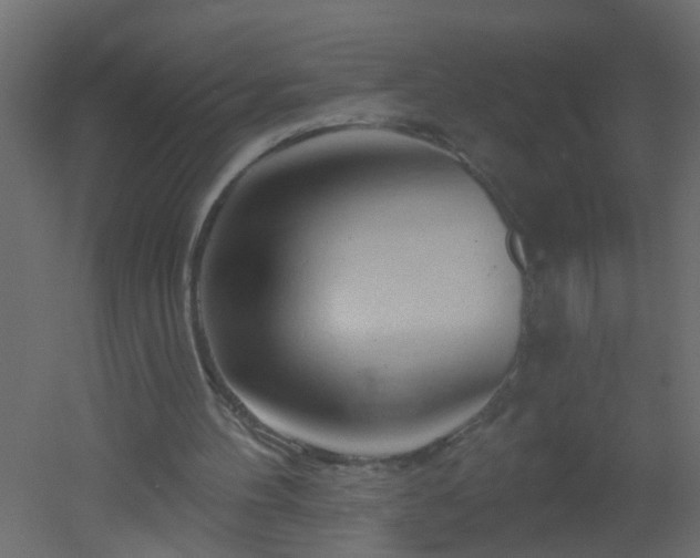 X0000051860100200506241331