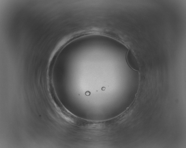 X0000051860102200506241331