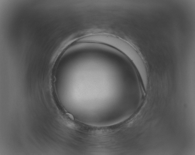 X0000051860103200506241331