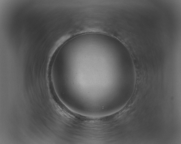 X0000051860104200506241331