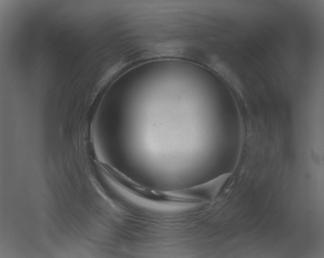 X0000051860107200506241331